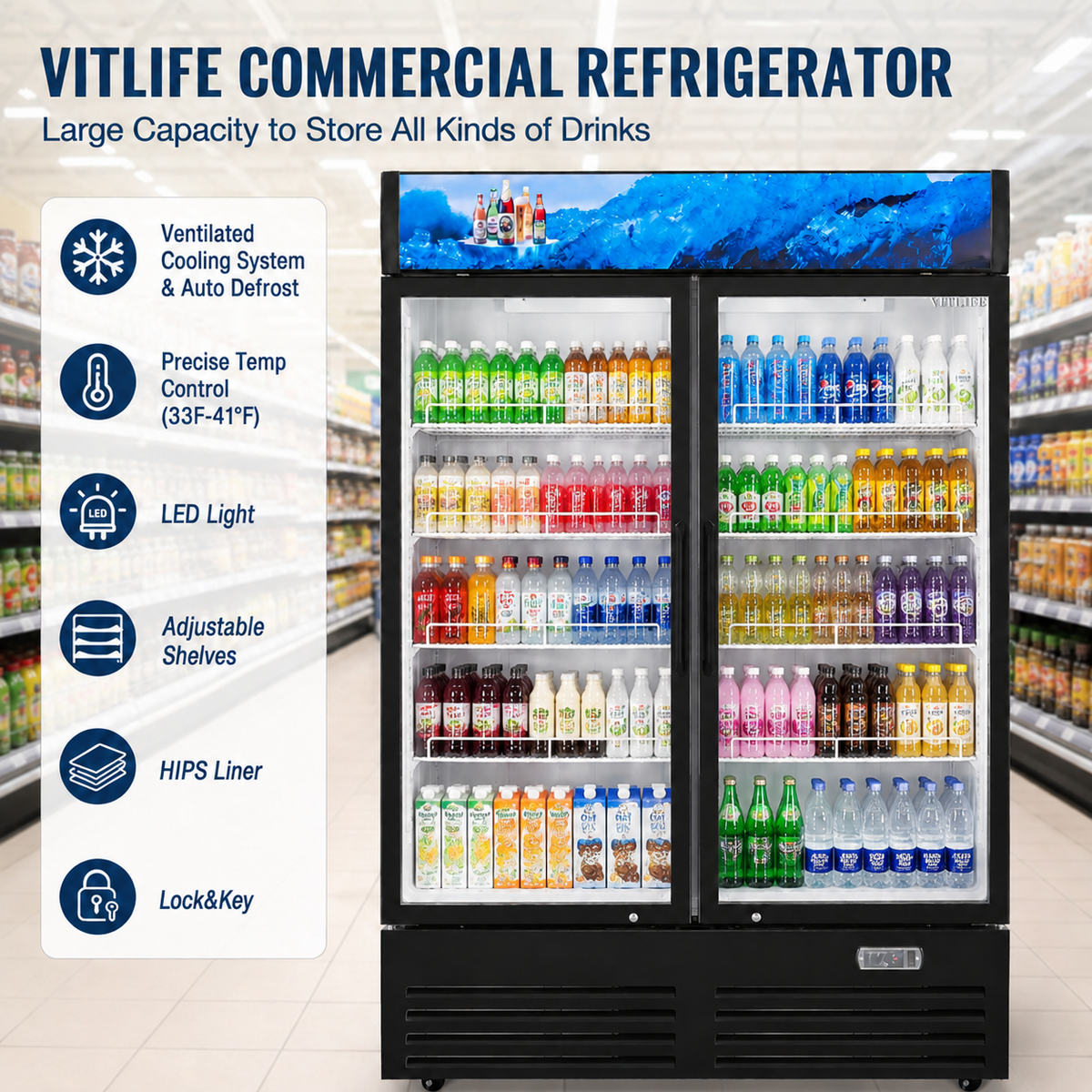 Merchandising Swing Glass Door Refrigerator with Canopy - Double Doors